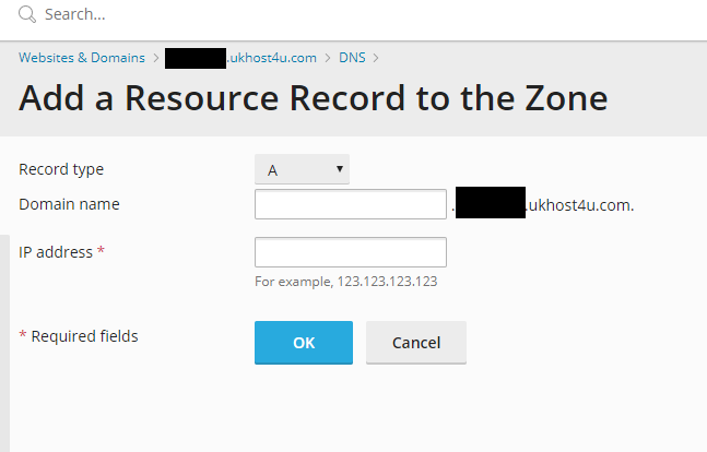 Add a DNS record screen in Plesk