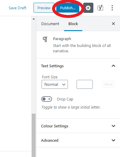 Publish post option in WordPress