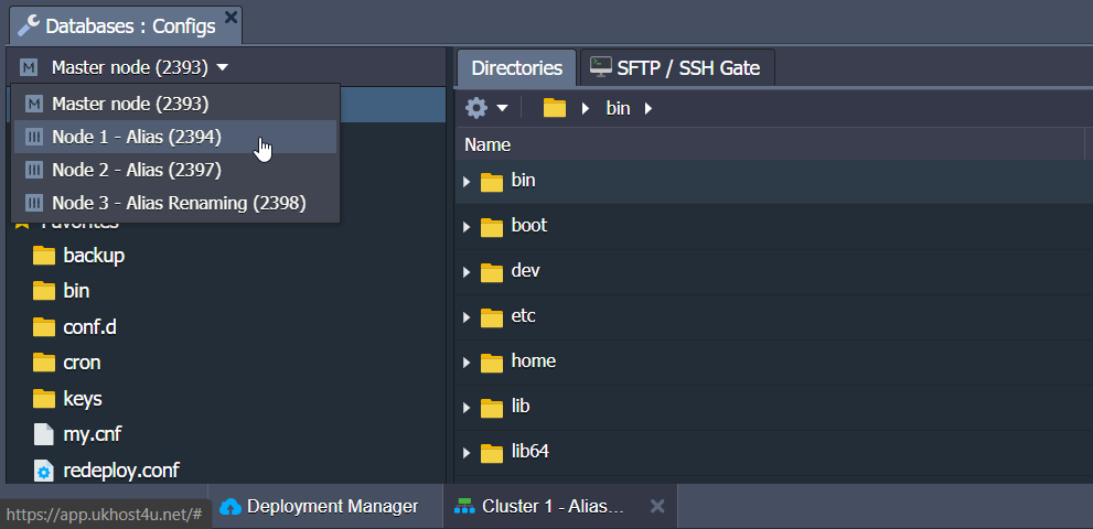 databases-configuration-environment-or-nodes-aliases