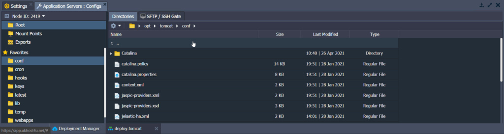 manage-your-configs-tomcat-server-cloud-environment-with-ukhost4u-topology-wizard-cloud-platform