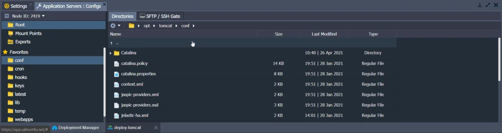 manage-your-configs-tomcat-server-cloud-environment-with-ukhost4u-topology-wizard-cloud-platform