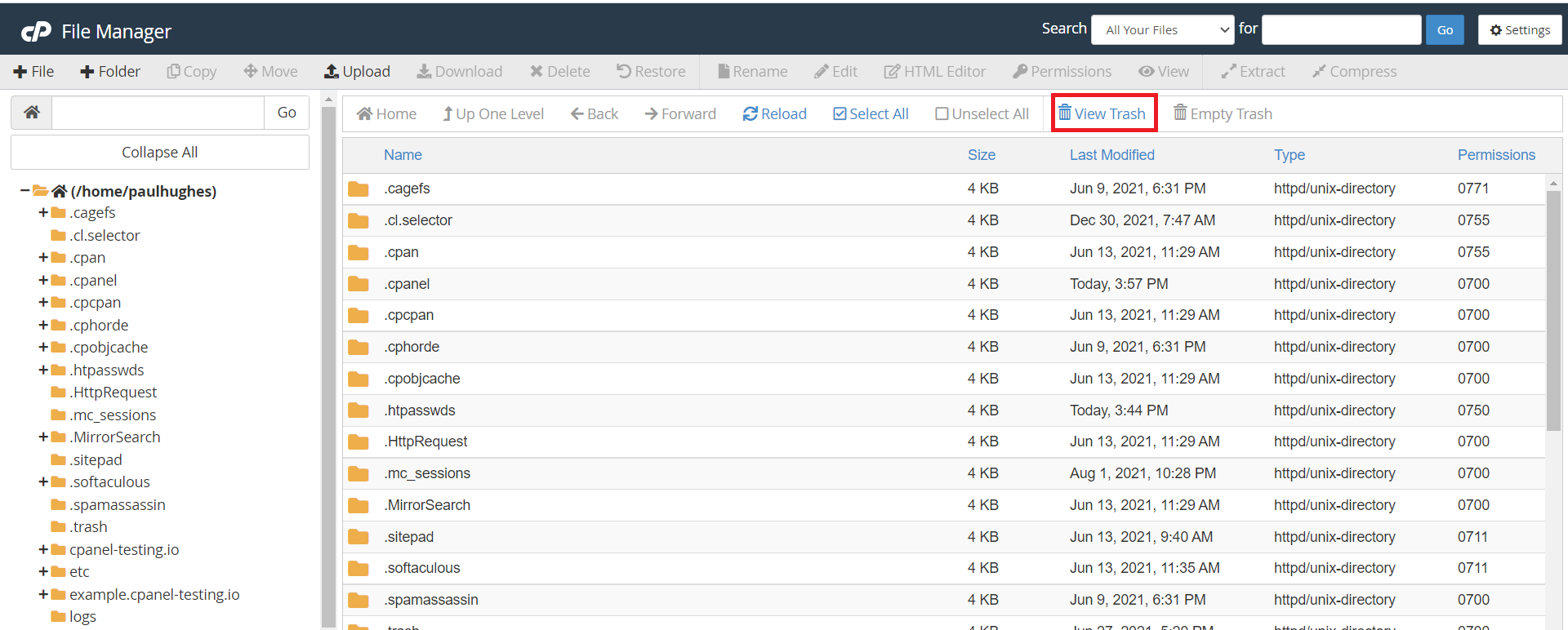 What to do when you accidentally delete the public_html folder